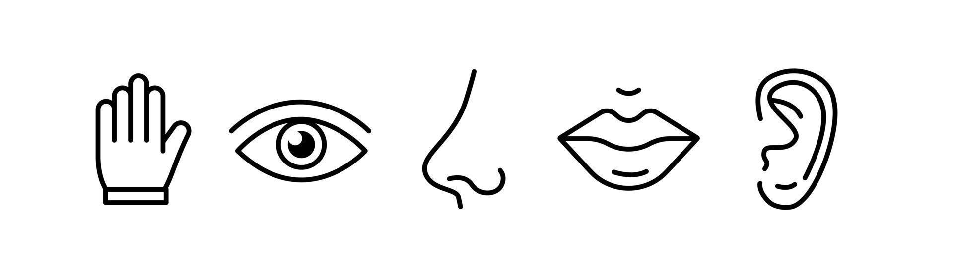 sensi umani cinque tipi. vista attraverso l'occhio, olfatto con il naso, gusto con la lingua. simboli disegnati icona. illustrazione vettoriale piatta isolata su sfondo bianco