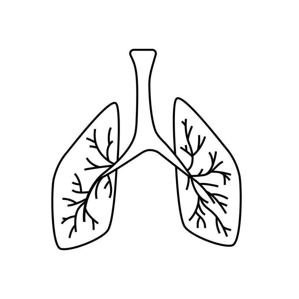 segno della linea dei polmoni. schizzo dell'organo umano. contorno logo medico. Illustrazione vettoriale su sfondo bianco