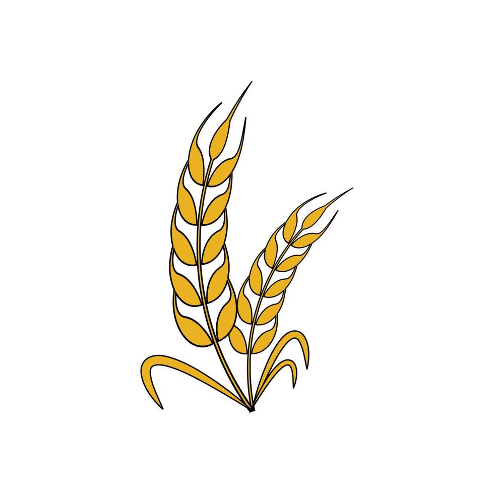 il logo dell'icona di grano e riso progetta l'immagine vettoriale