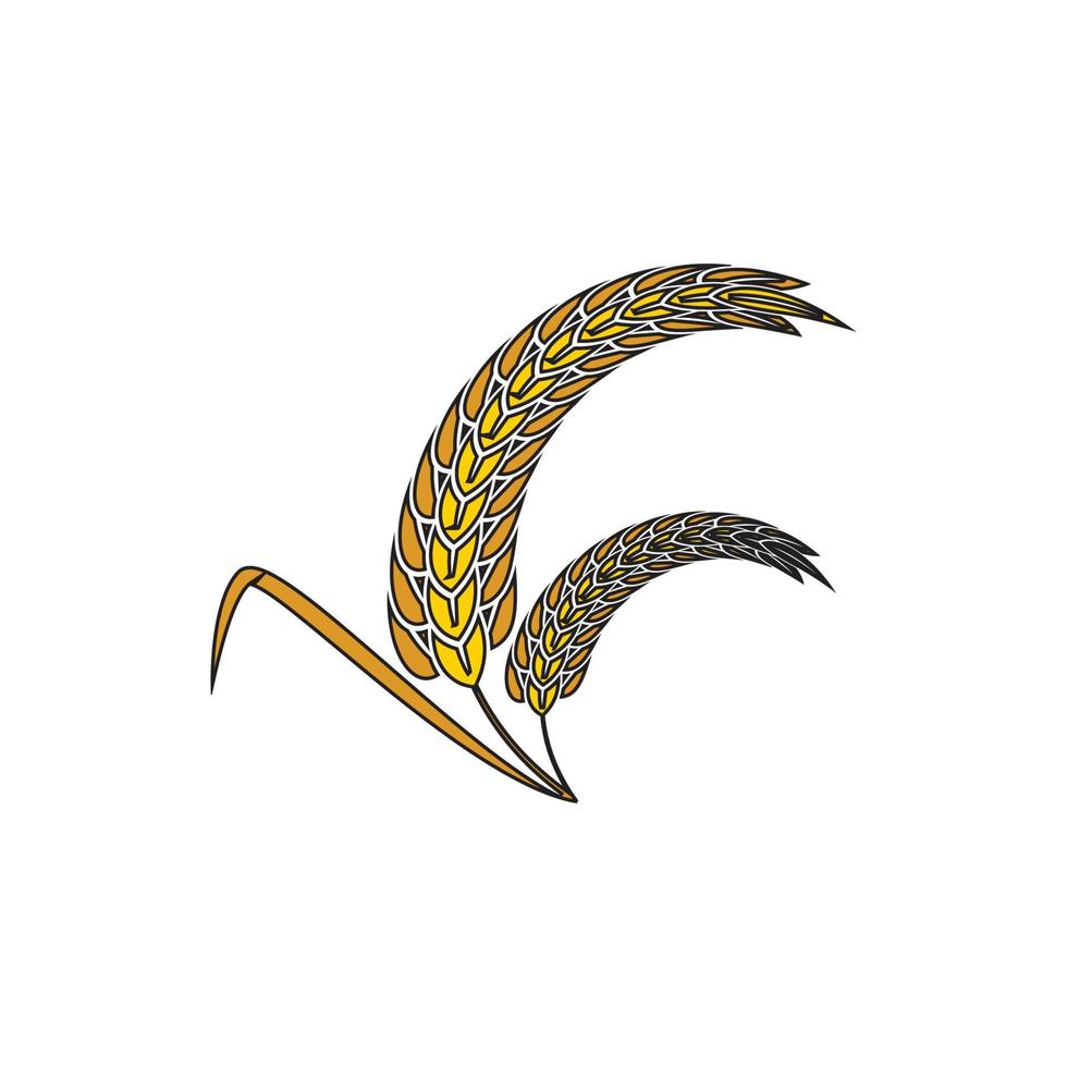 il logo dell'icona di grano e riso progetta l'immagine vettoriale