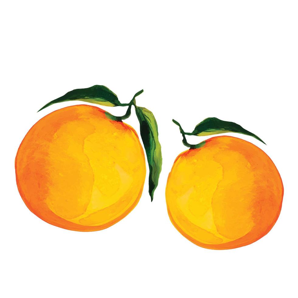 frutta arancia e mezzo limone con foglie illustrazione vettoriale