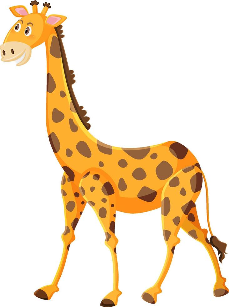 simpatico cartone animato giraffa su sfondo bianco vettore