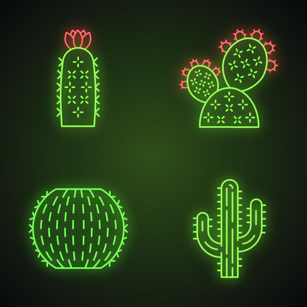 set di icone di luce al neon di cactus selvatici. flora del deserto. succulente. piante spinose. fico d'India, botte, riccio, saguaro. segni luminosi. illustrazioni vettoriali isolate