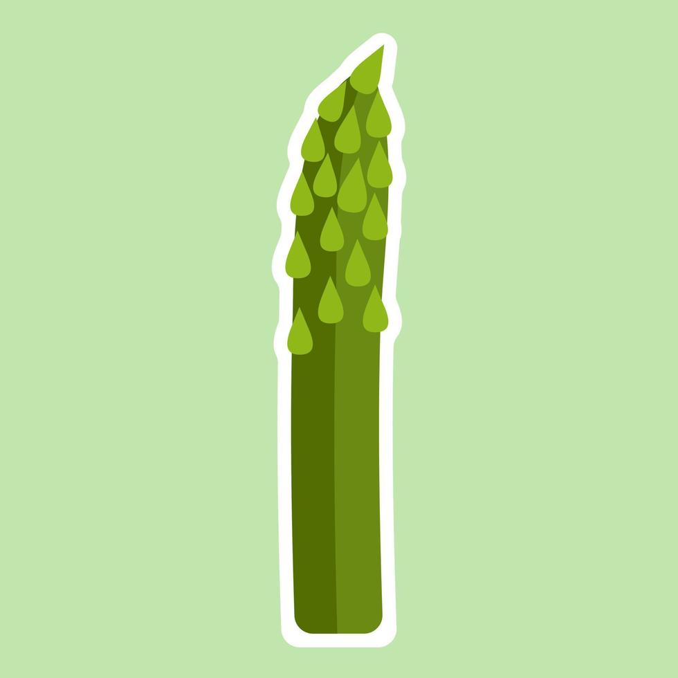 illustrazione vettoriale isolata concetto di cibo sano vegetale di asparagi. risorsa ad alto contenuto proteico. cibo vegano. utilizzare come ricetta vegetariana, raccolto agricolo