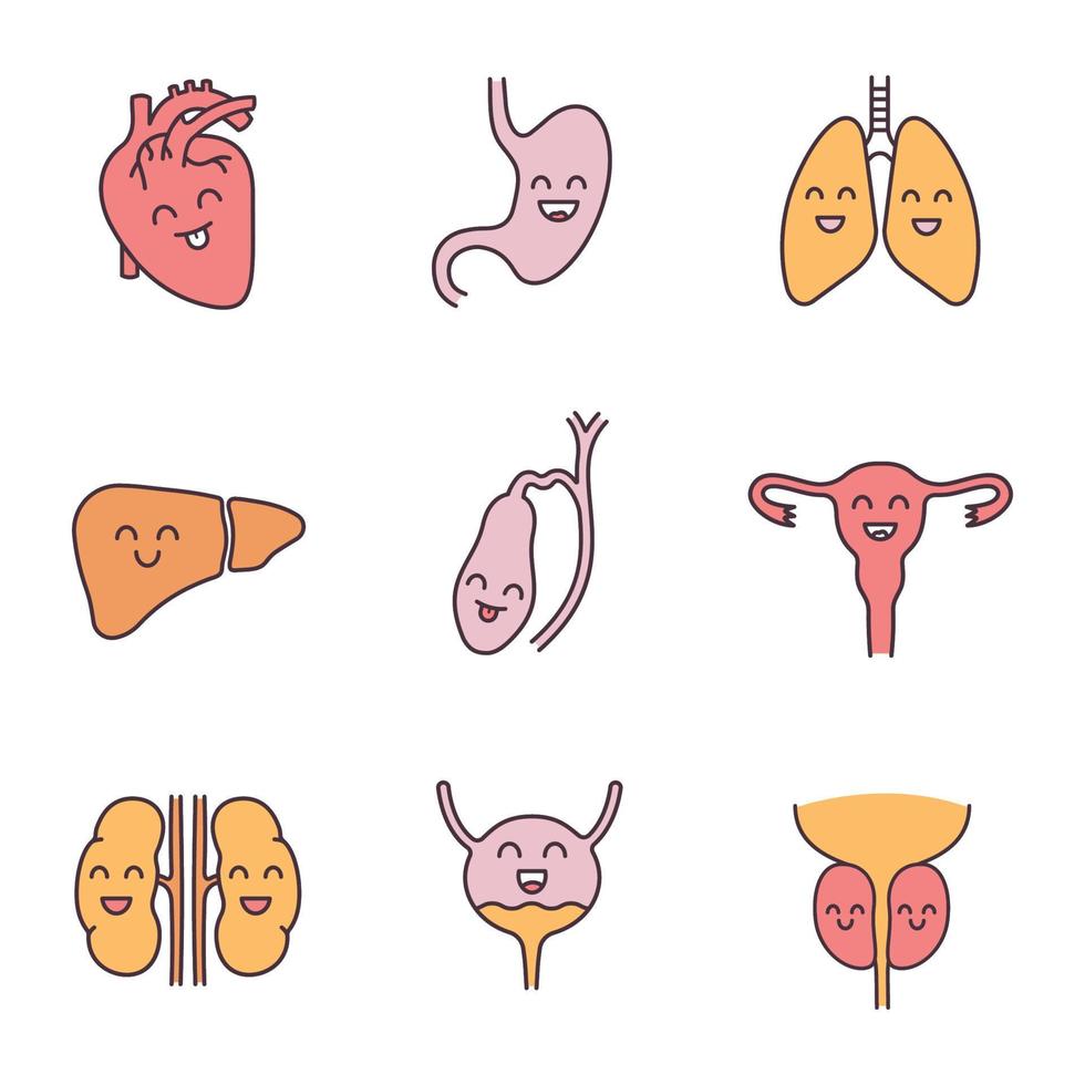 set di icone di colore degli organi interni umani sorridenti. salute dell'apparato respiratorio, urinario, riproduttivo, digerente. illustrazioni vettoriali isolate