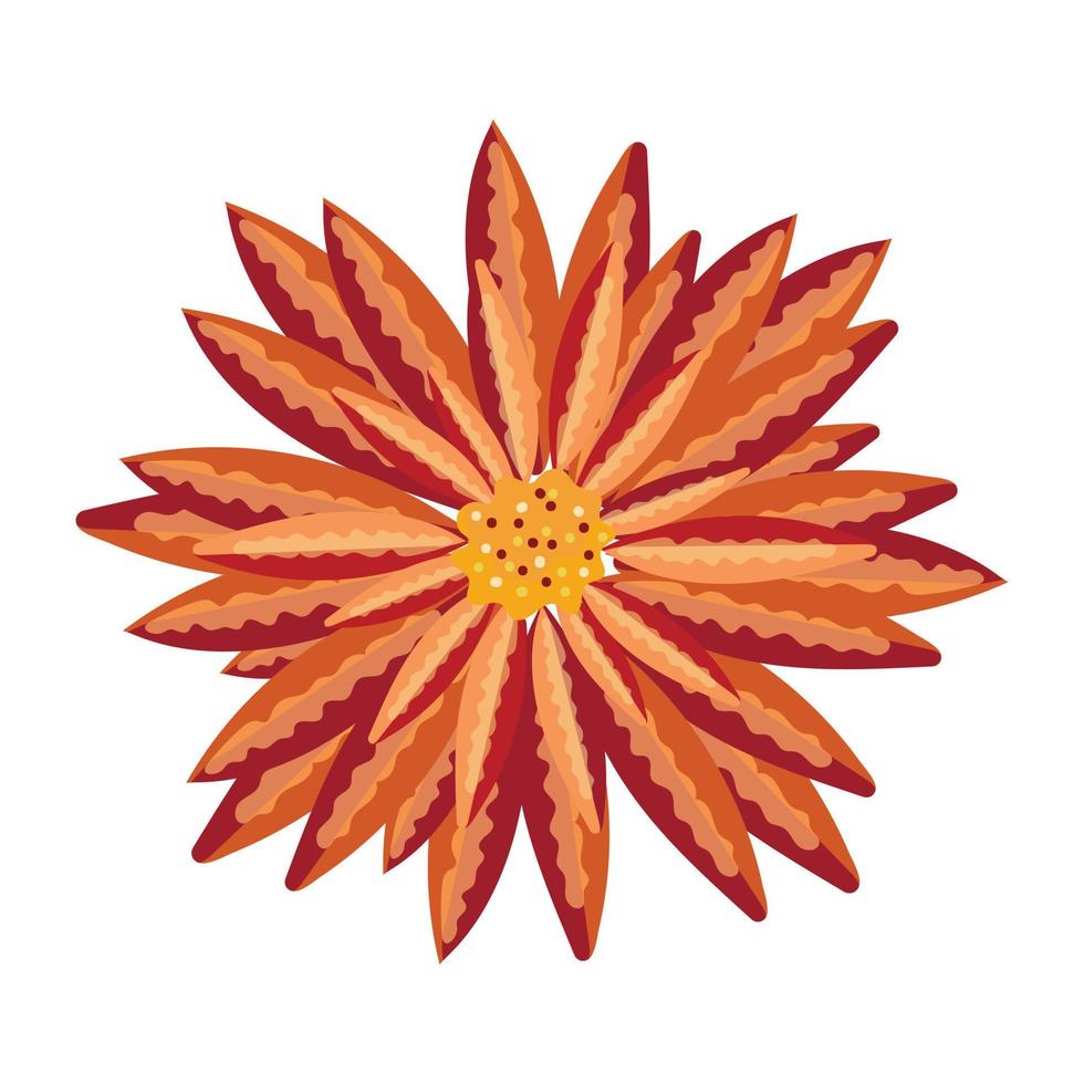 disegno vettoriale fiore disegnato a mano nel vettore colorato