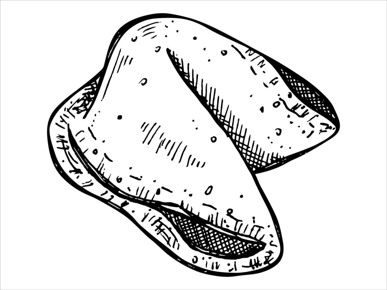biscotto della fortuna cinese disegnato a mano di vettore isolato su sfondi bianchi. illustrazione del cibo. biscotto croccante con un pezzo di carta bianco all'interno. per stampa, web, design, arredamento, logo.