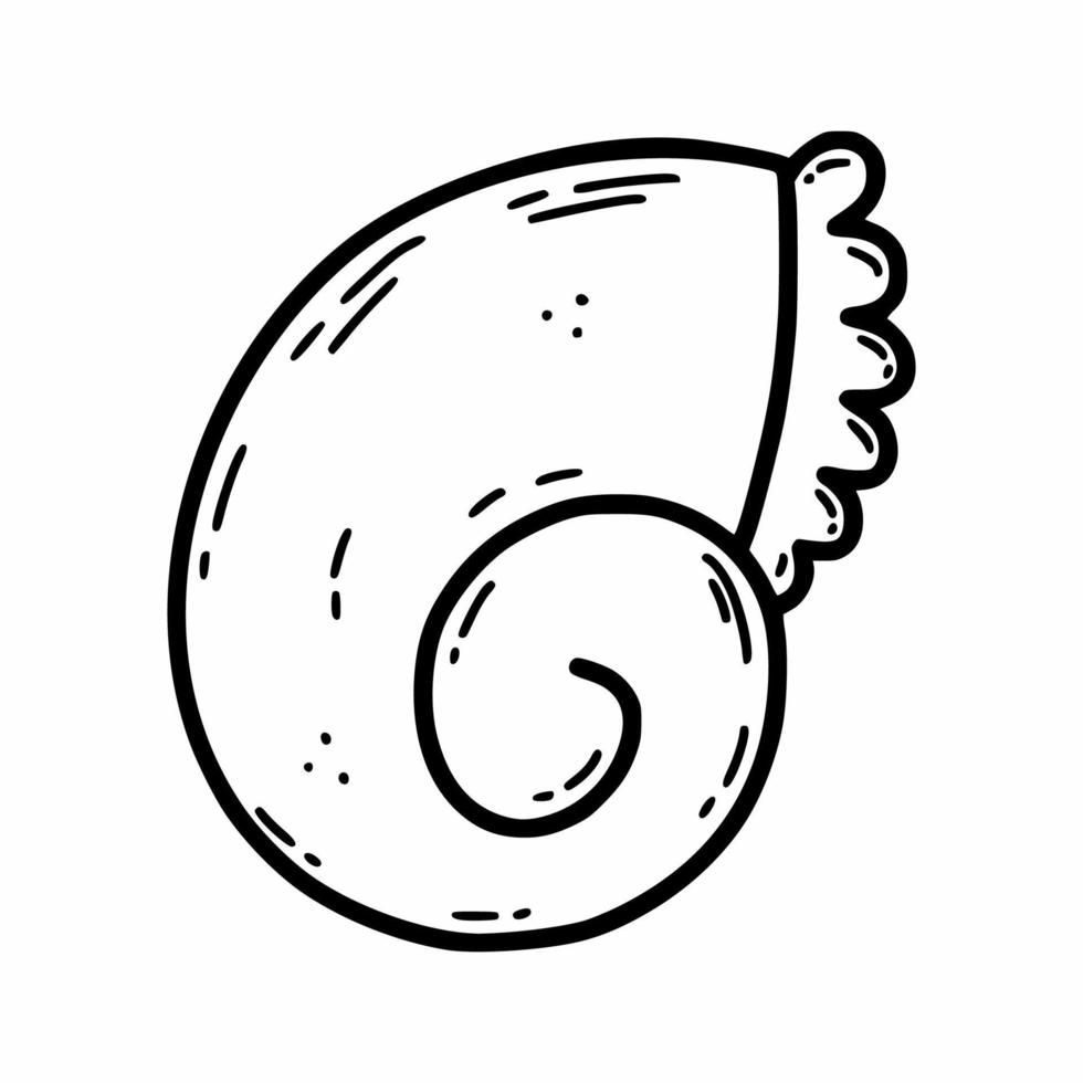 guscio di mollusco marino. illustrazione dello schizzo vettoriale. vita nell'oceano. libro da colorare per bambini. crostacei su sfondo bianco. doodle icona conchiglia. vettore