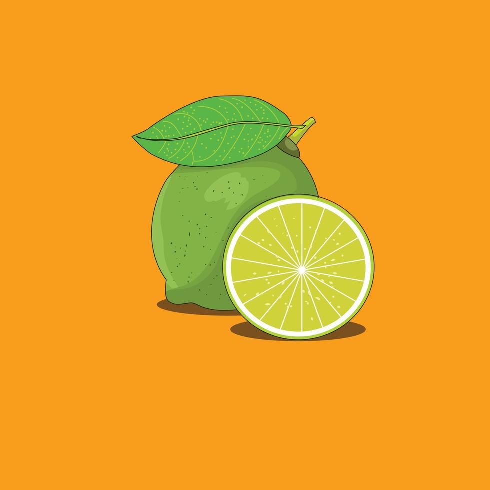 vettore di limone verde