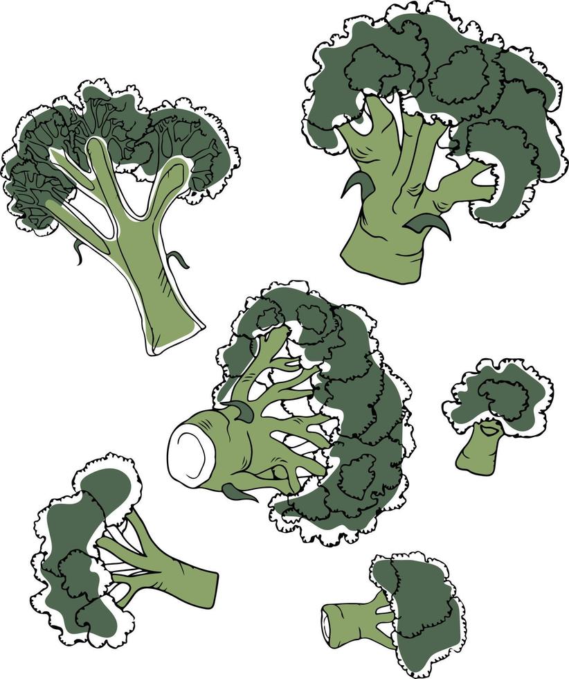 set vettoriale di broccoli colorati in stile doodle isolati su sfondo bianco