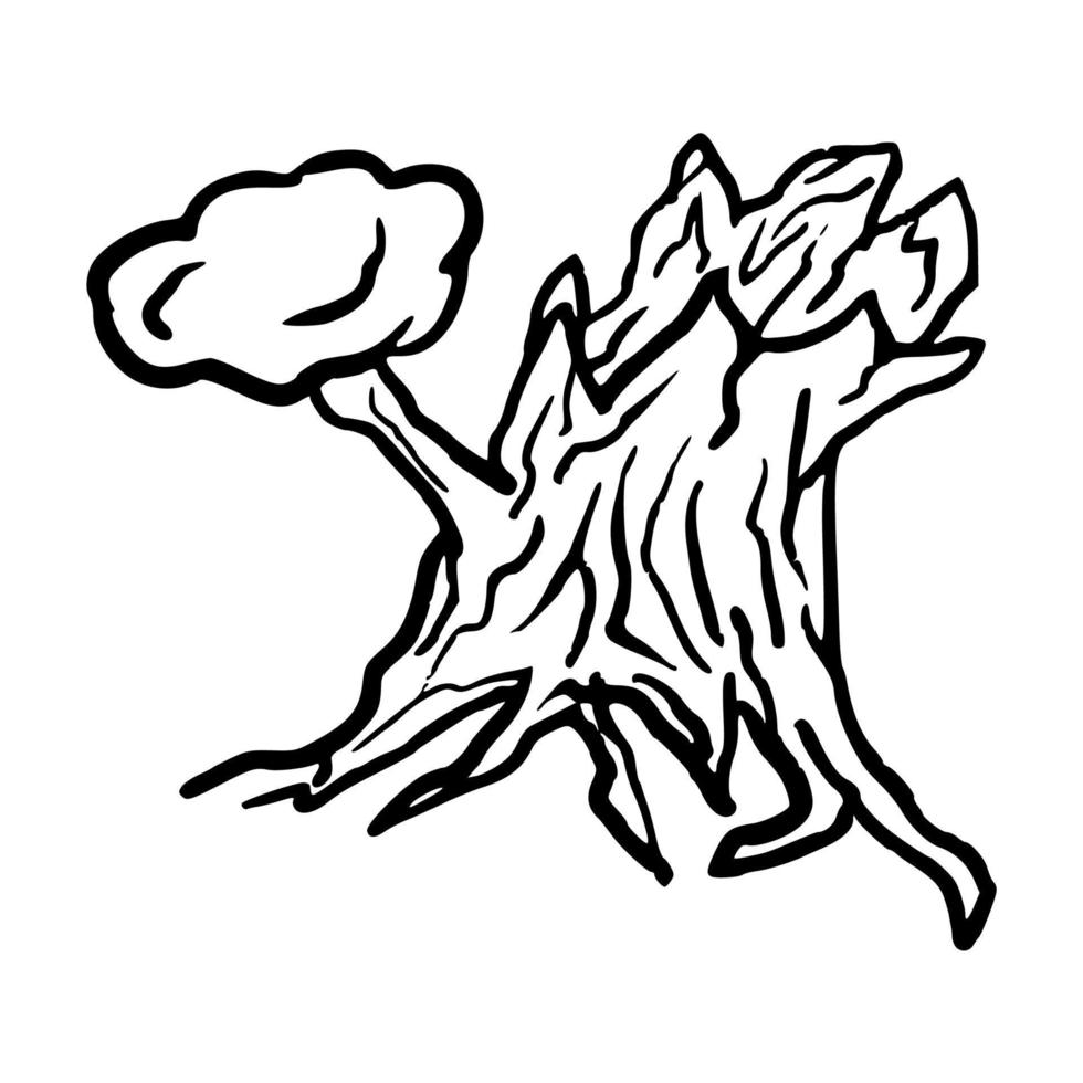 vecchio albero con radici doodle disegnato a mano vettore contorno illustrazione icona per libro da colorare e infografica