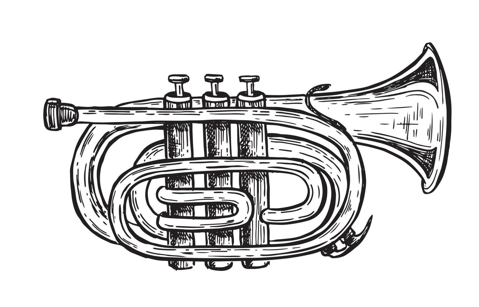 tromba, strumenti musicali, illustrazione disegnata a mano. vettore. vettore