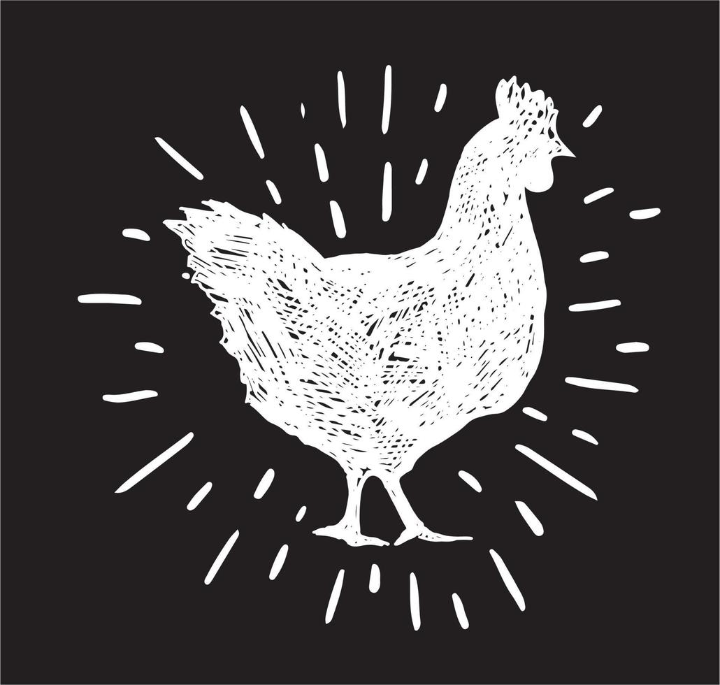 illustrazione disegnata a mano di pollo, vettore. vettore