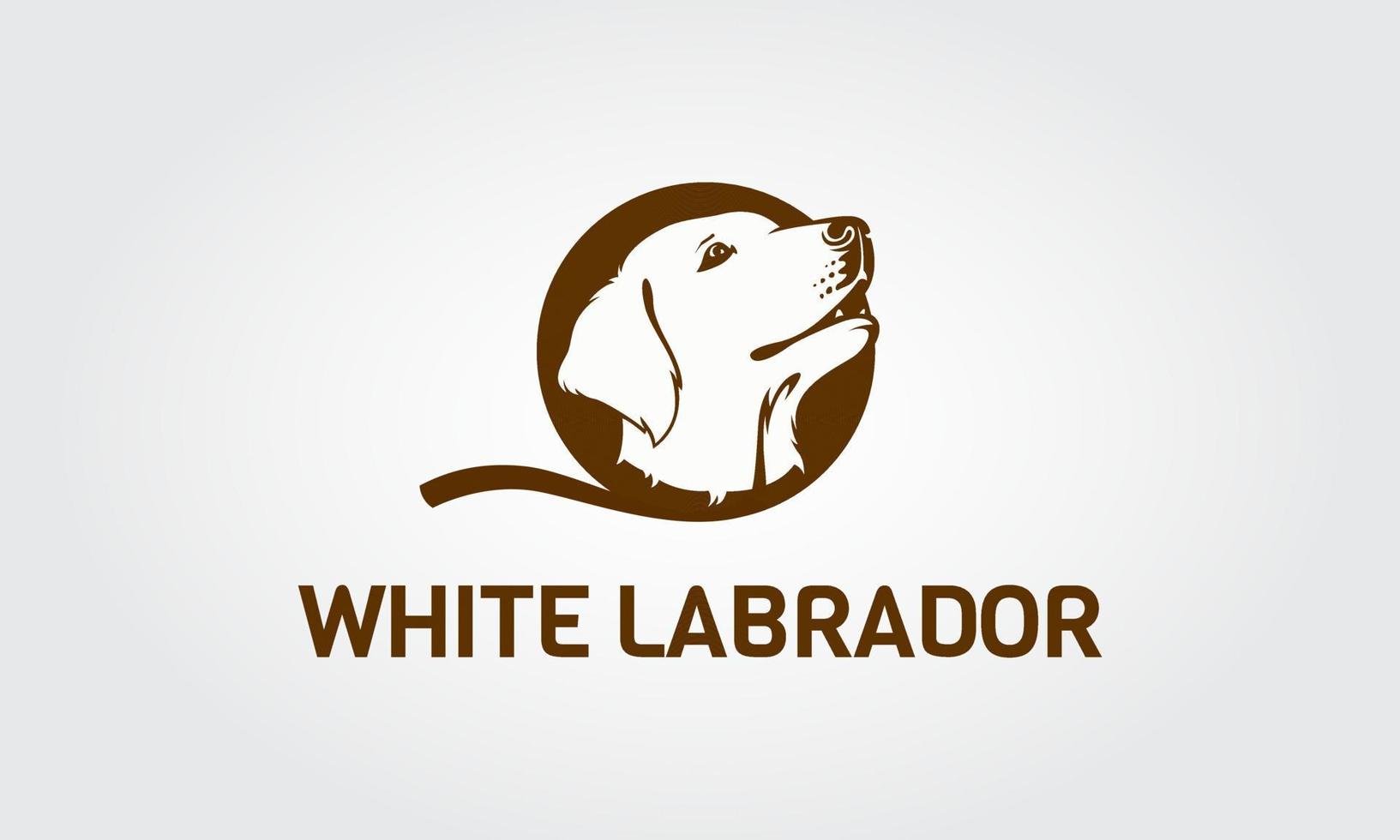 immagine vettoriale di una testa di cane labrador su sfondo bianco. testa cani carini. testa di cucciolo di labrador.