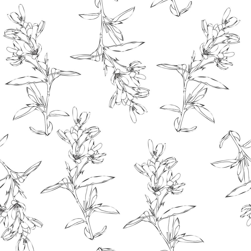 modello senza cuciture di fiori primaverili ed estivi. fiori di campo disegnati a mano. Linea artistica. vettore