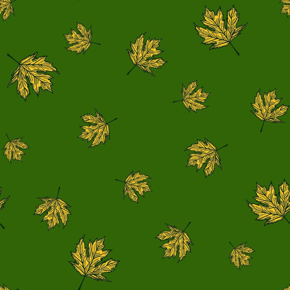 foglie acero canadese inciso motivo senza cuciture. sfondo vintage botanico con fogliame in stile disegnato a mano. vettore