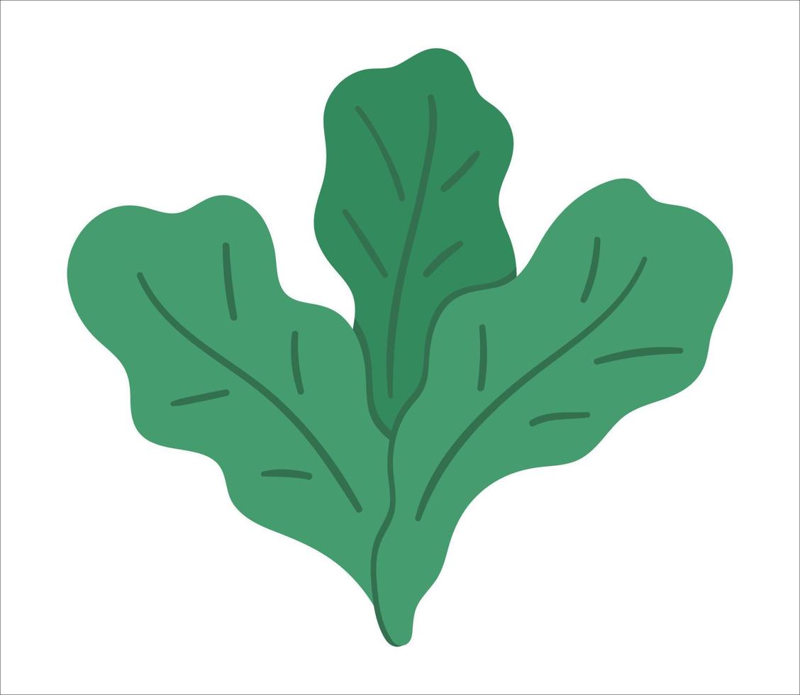 lattuga vettoriale su sfondo bianco. icona di cibo sano. illustrazione vegetale. clipart di nutrizione organica disegnata a mano piatta. foto di foglie verdi