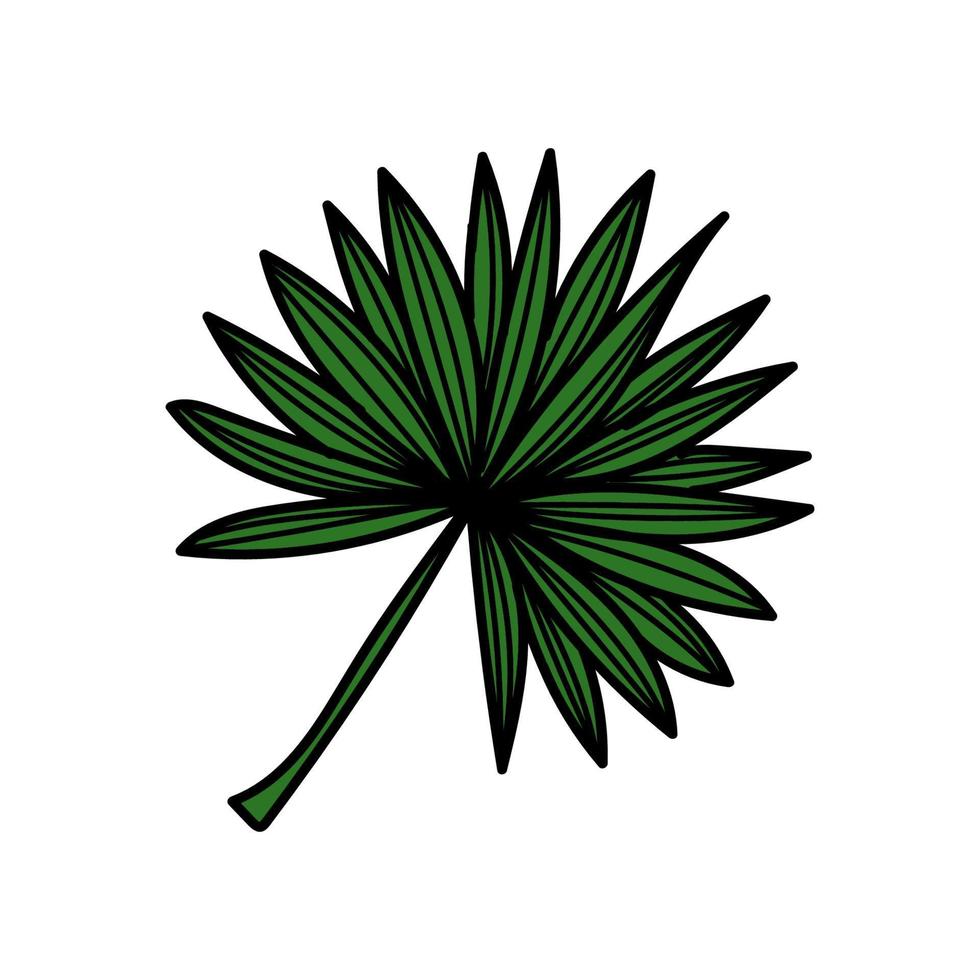 una semplice icona di foglia di palma tropicale. elemento disegnato a mano in uno schizzo in stile doodle. palma. tropici, estate. illustrazione vettoriale isolata