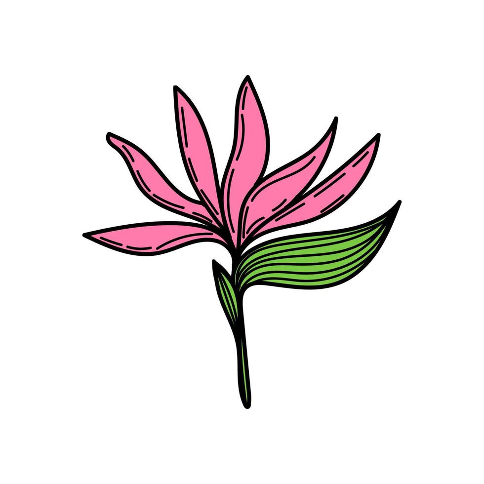 una semplice icona di fiori tropicali-strelitzia. schizzo in stile doodle disegnato a mano di un fiore luminoso. tropici. strelitzia. illustrazione vettoriale isolata