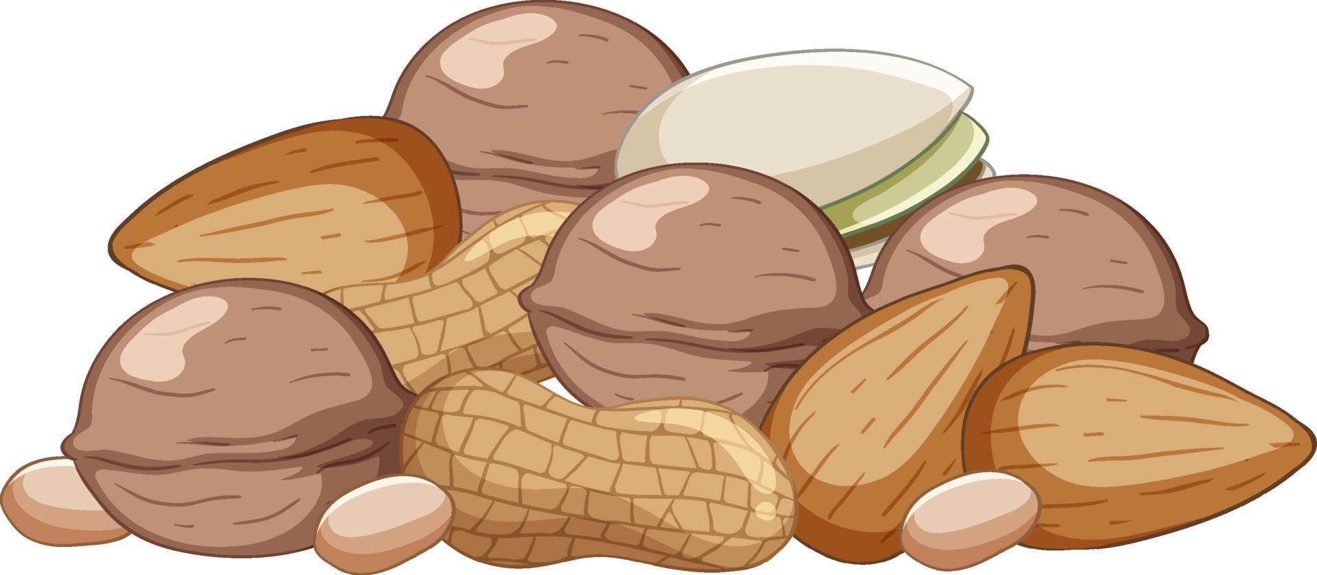 molte noci mandorle arachidi pistacchi stile cartone animato vettore