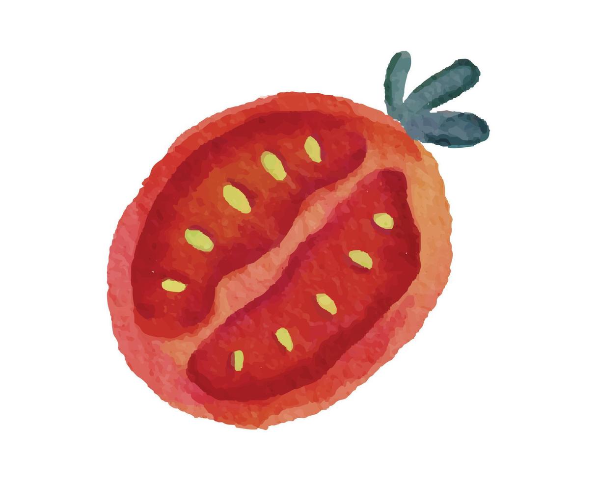 affettato di illustrazione di pomodoro con stile acquerello vettore