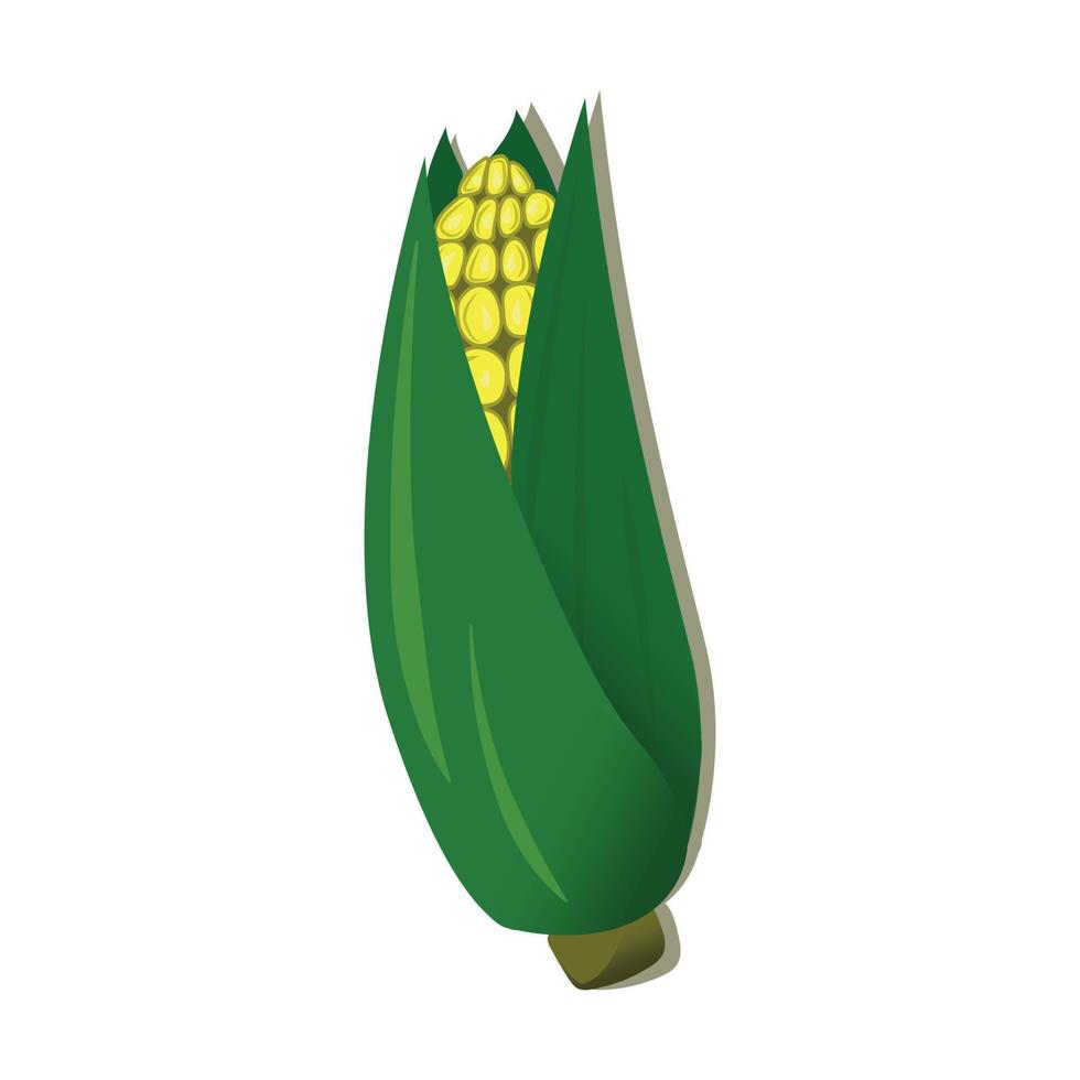 illustrazione vettoriale di pianta di mais