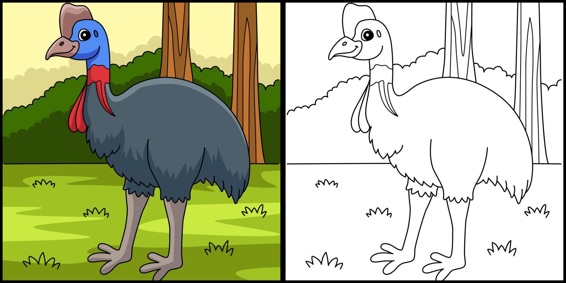 illustrazione della pagina di colorazione degli animali dell'uccello del casuario vettore