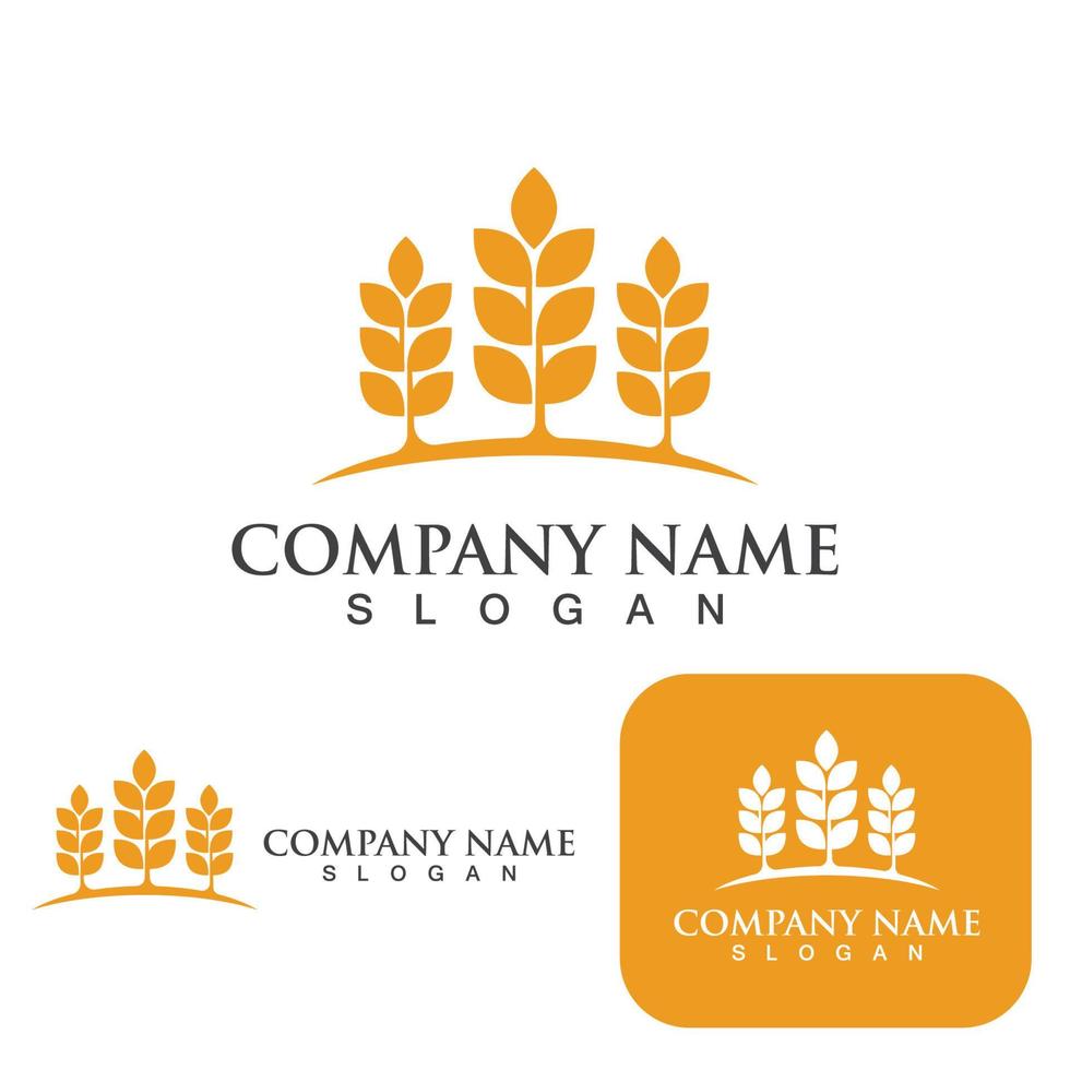 disegno dell'icona di grano logo agricoltura vettoriale