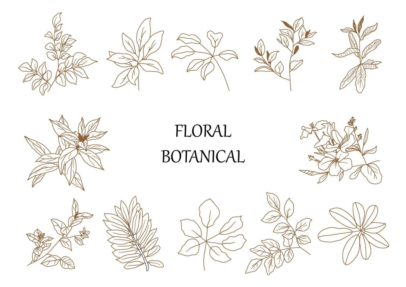 set botanico disegnato a mano foglie e fiori per la decorazione. vettore