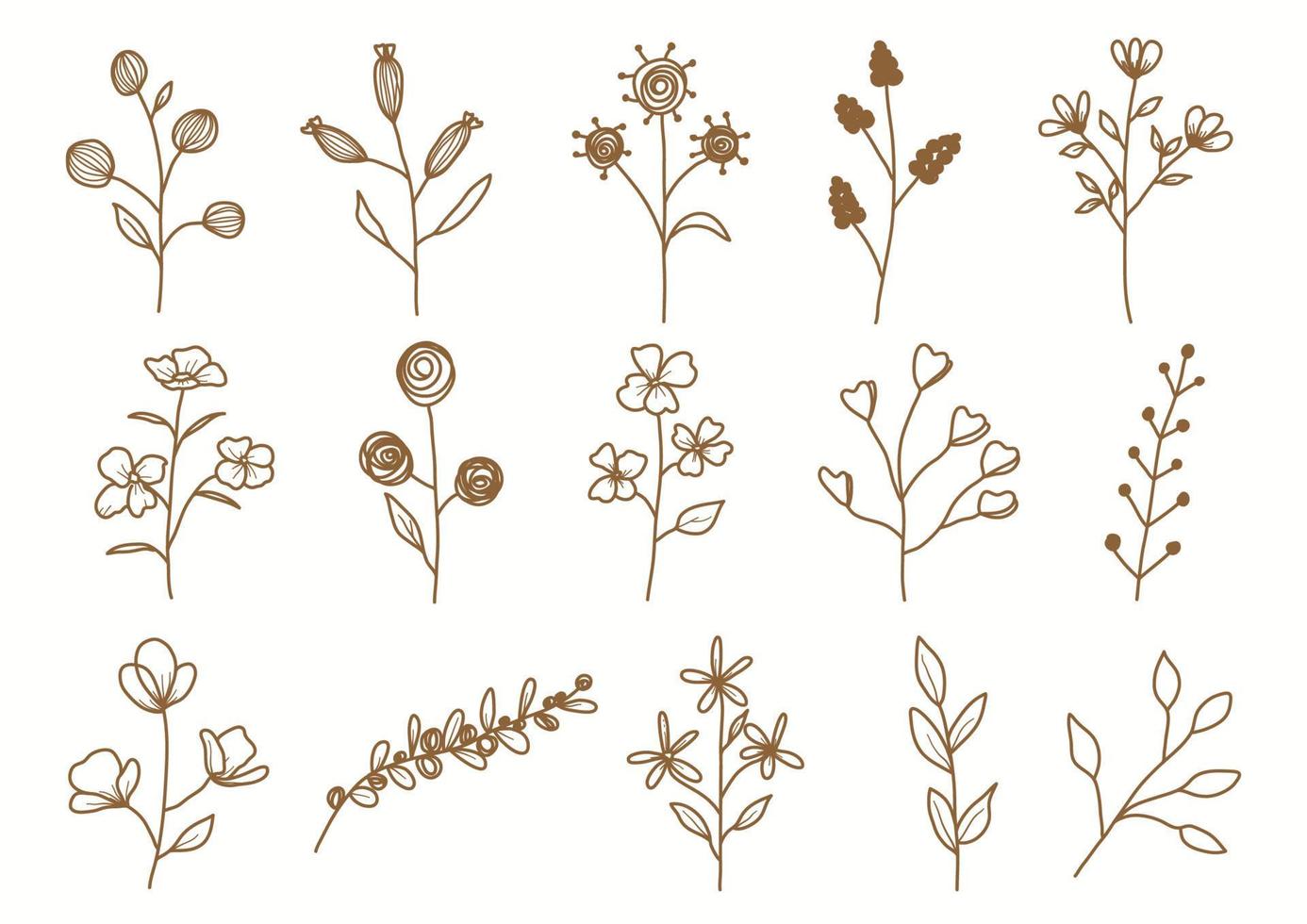 set botanico disegnato a mano foglie e fiori per la decorazione. vettore