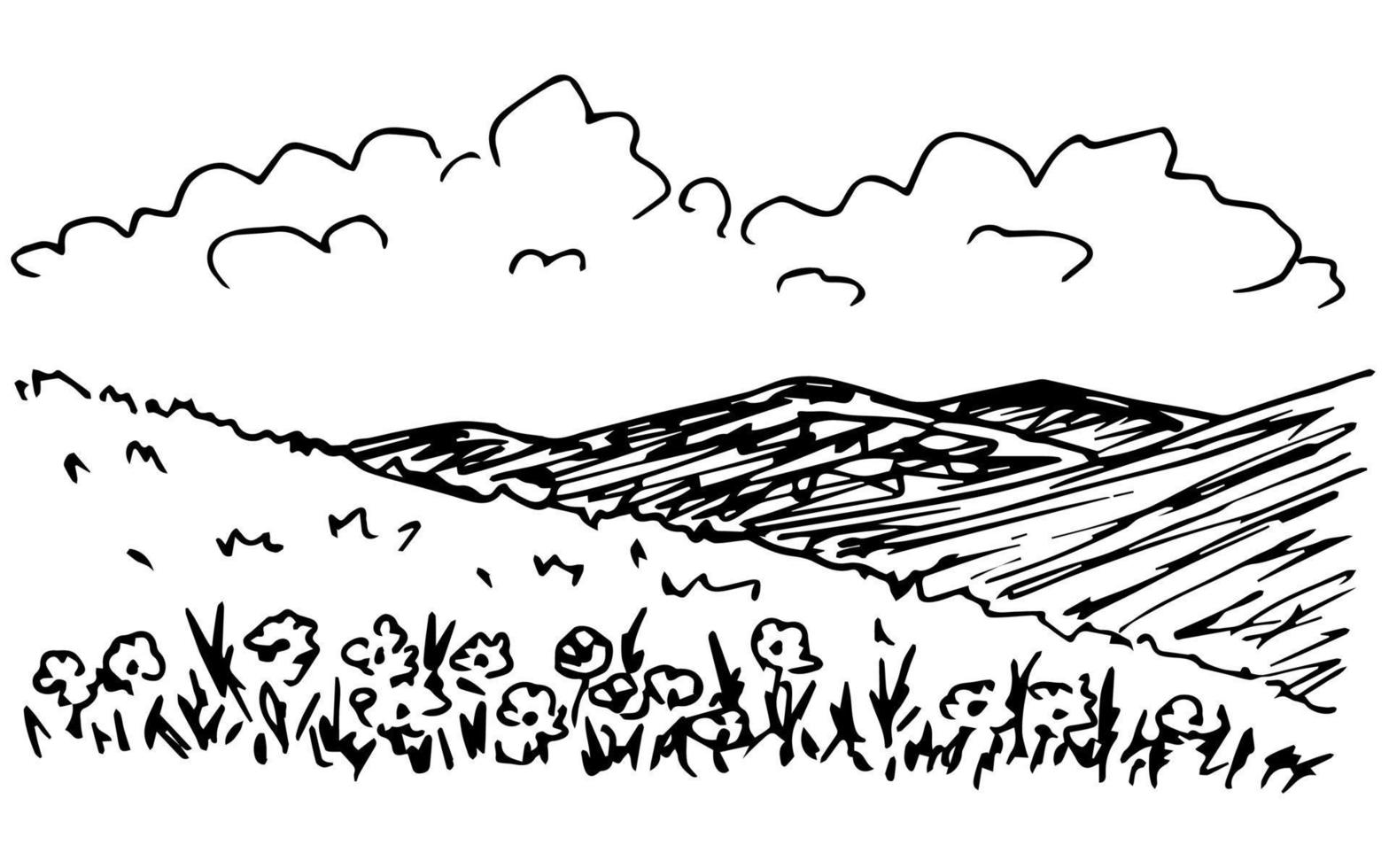 semplice disegno a inchiostro vettoriale in stile incisione. paesaggio estivo, fiori in primo piano, silhouette di montagne all'orizzonte, nuvole, colline, natura, colline fiorite.