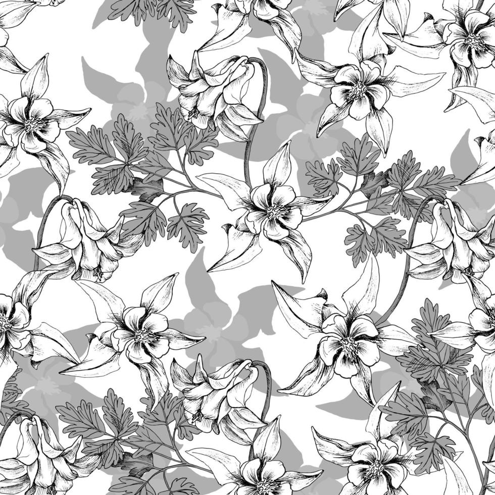 modello vettoriale senza cuciture con fiori di columbine in scala di grigi isolati su sfondo bianco. design t-shirt, tessuti, tessuti, copertine, sfondi, stampa, confezioni regalo