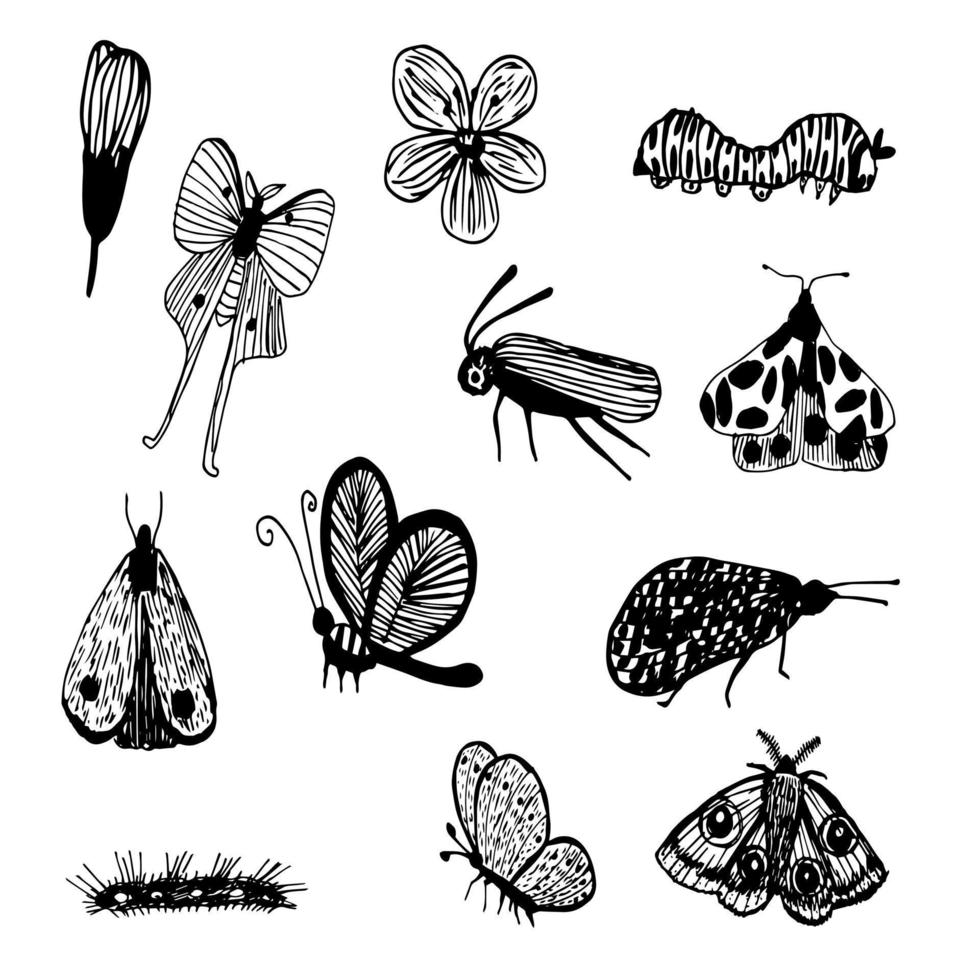 impostare doodle farfalla e insetti vettore