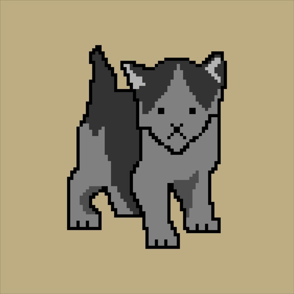 gatto con pixel art. amichevole animale domestico. illustrazione vettoriale. vettore