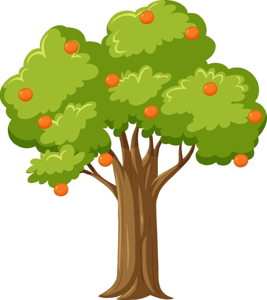 albero di arancio isolato in stile cartone animato vettore
