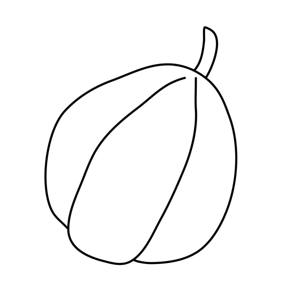 zucca a forma di pera in stile doodle. contorno isolato. illustrazione vettoriale disegnata a mano con inchiostro nero su sfondo bianco. ottimo per colorare i libri. tema del giardino agricolo.