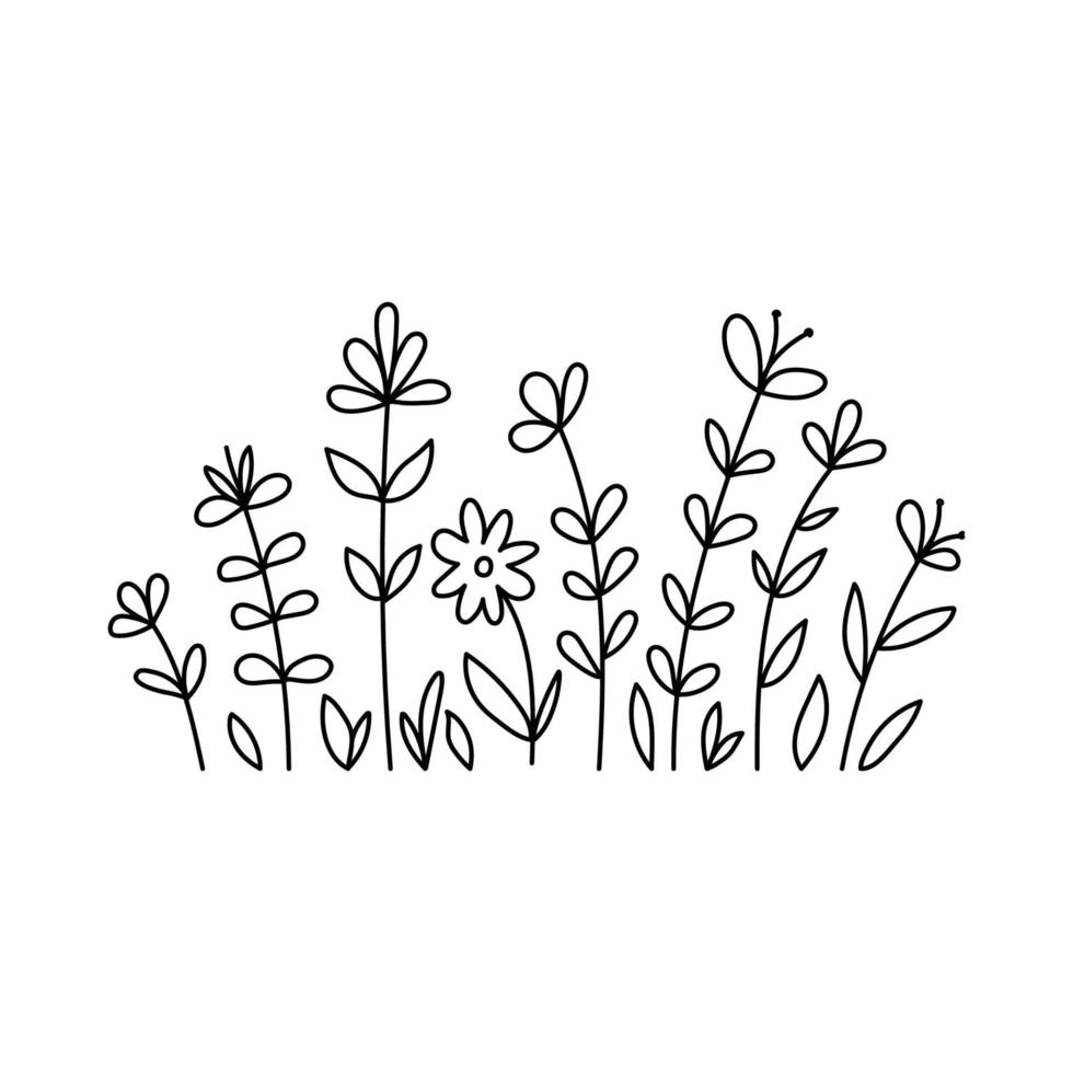illustrazione di doodle di fiori e erbe selvatiche di vettore. campo con erba e fiori di campo isolati su bianco vettore