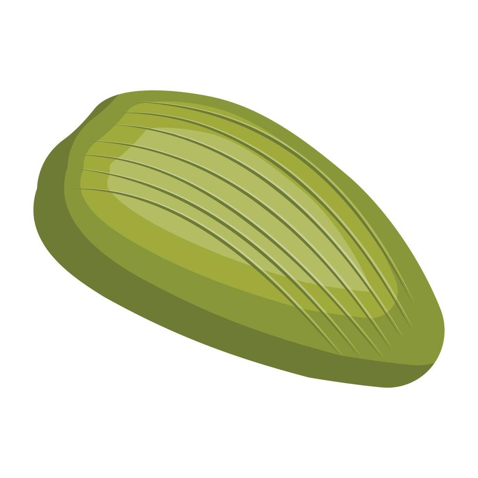 icona isometrica premium di pistacchio vettore