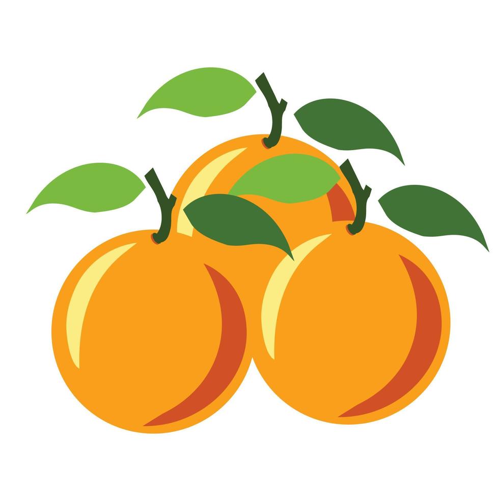 illustrazione di frutta fresca d'arancia dolce isolata su sfondo bianco vettore