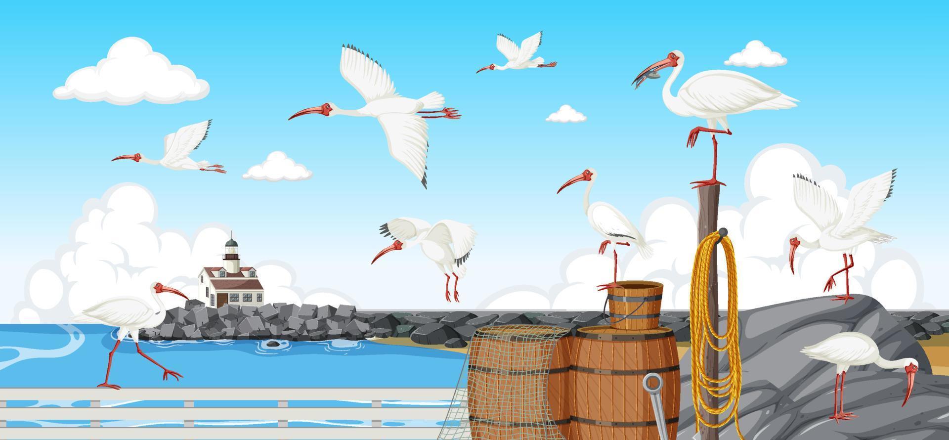 gruppo di ibis bianchi americani sulla costa vettore