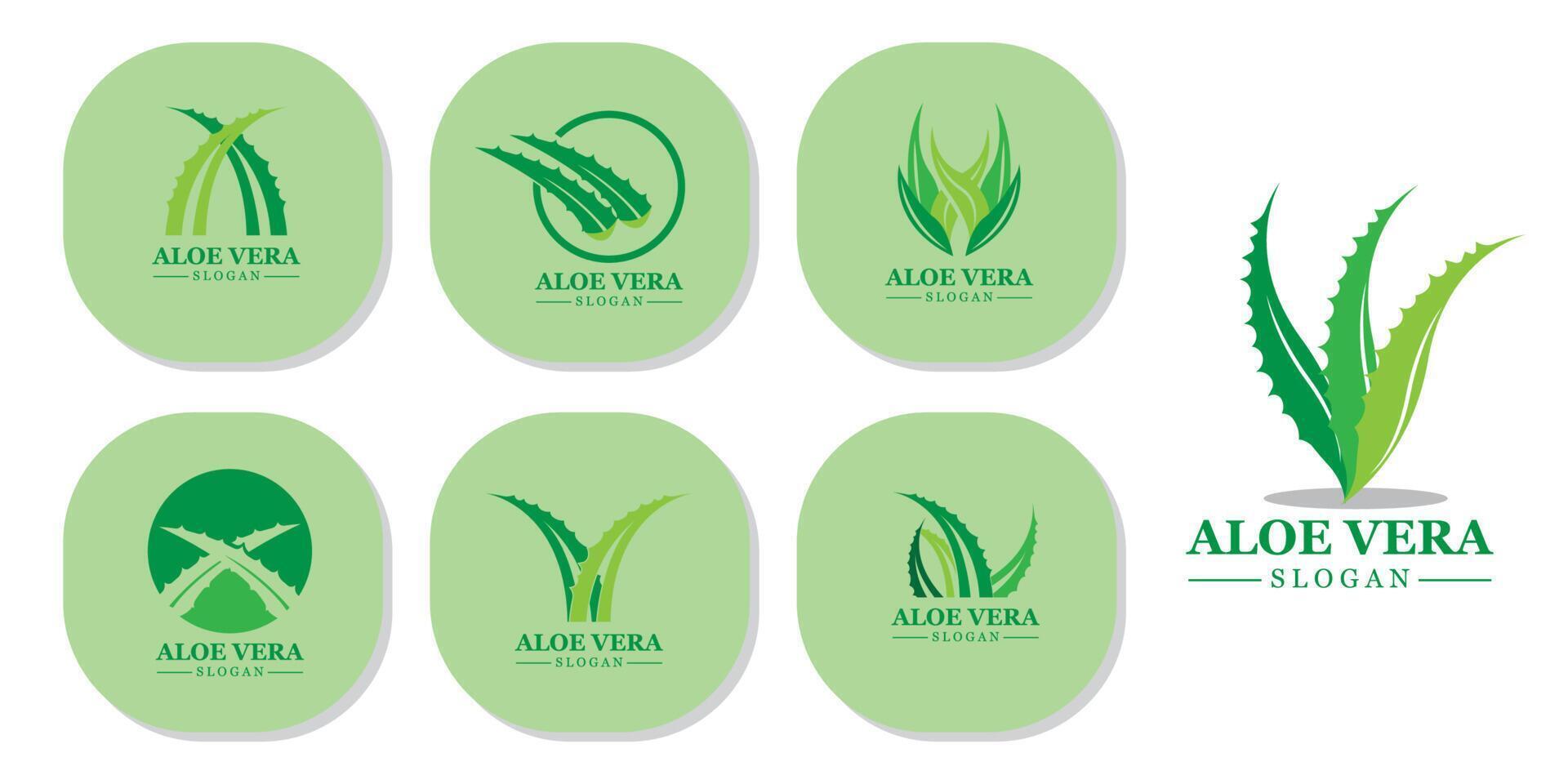 pianta verde aloe vera logo vettore icona simbolo molti vantaggi