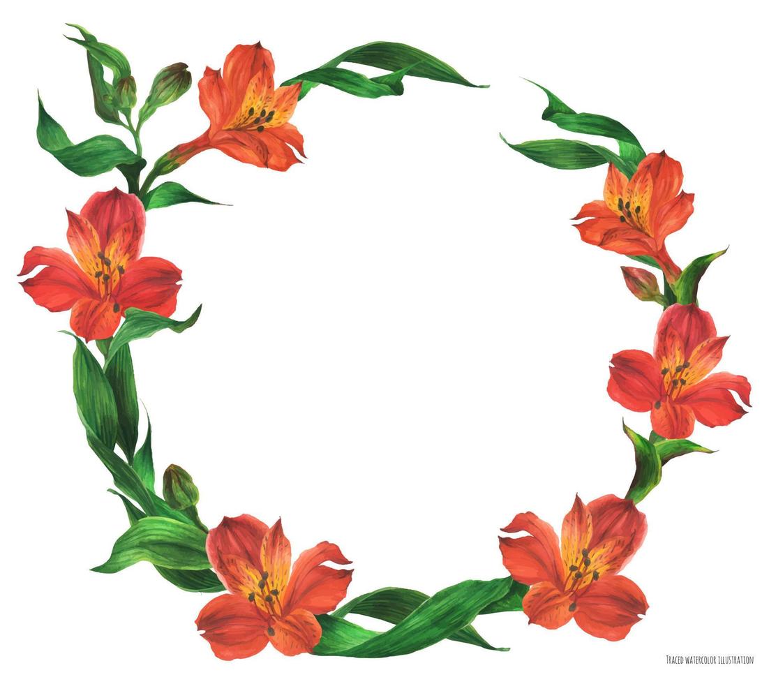 corona rotonda romantica con fiori rossi, illustrazione realistica tracciata ad acquerello vettore