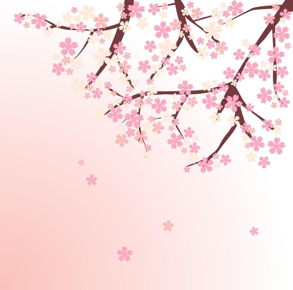 vettore fiore rosa fiore di ciliegio