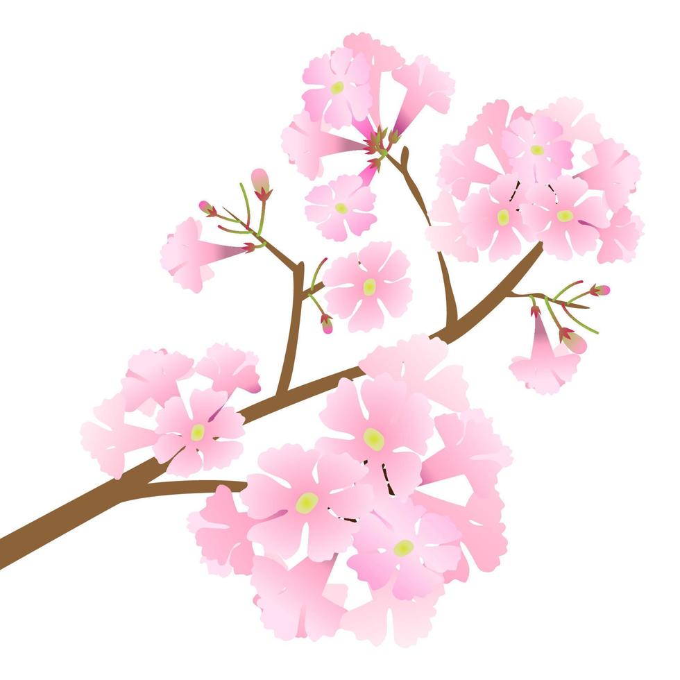 fiore di tromba rosa vettoriale