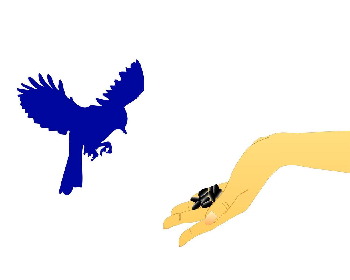 alimentazione di un uccellino da una mano semi di girasole vettore
