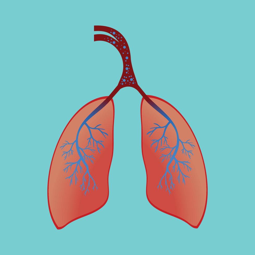 polmoni che pompano ossigeno e anidride carbonica. concetto di anatomia umana con i polmoni che inspirano ed espirano vettore. polmoni con così tanti vasi sanguigni e d'aria e icone di aria blu. illustrazione del sistema respiratorio umano. vettore