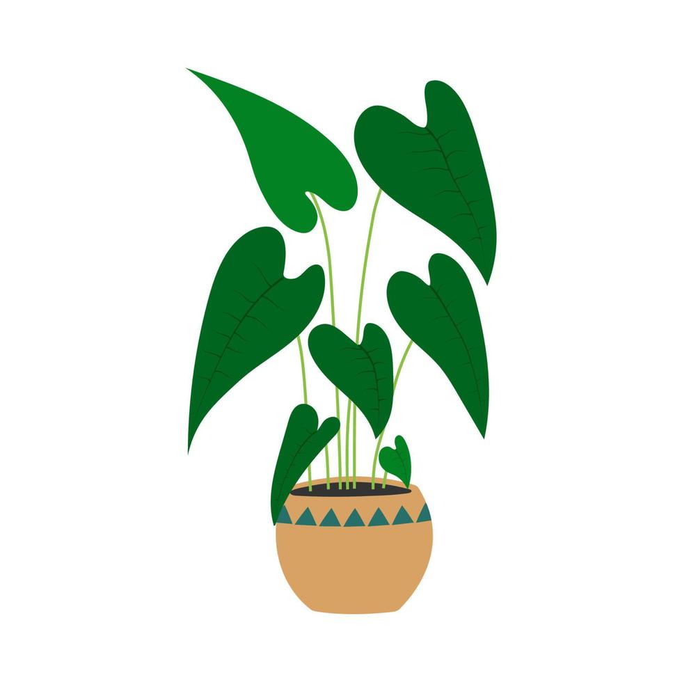 pianta di alocasia in vaso di fiori. pianta d'appartamento disegnata a mano. vettore