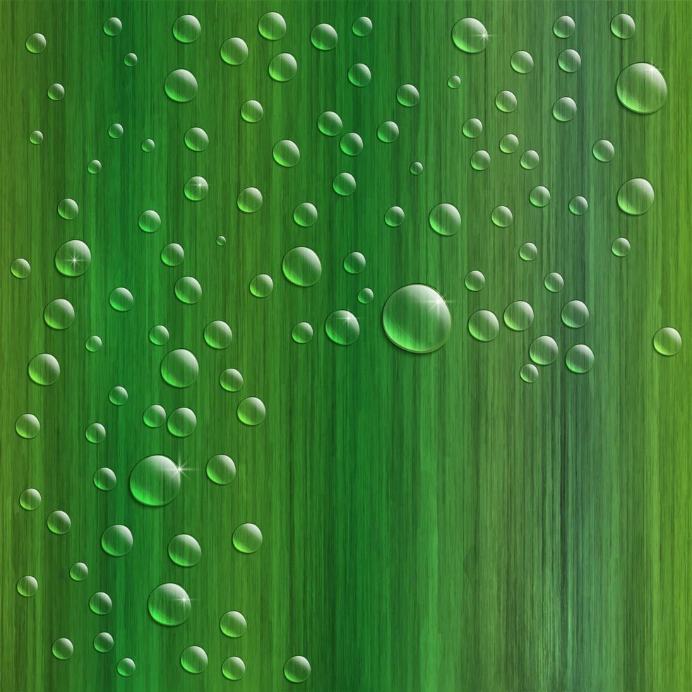 gocce d'acqua su erba verde fresca, illustrazione vettoriale realistica