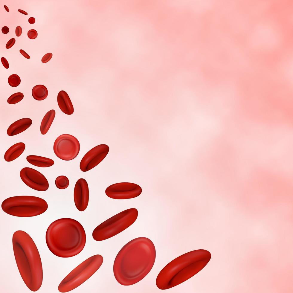 cellule del sangue in streaming vettoriale