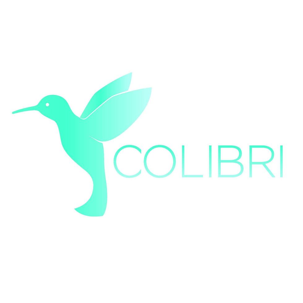 elemento logo colibri, colibrì, isolato su bianco, illustrazione vettoriale
